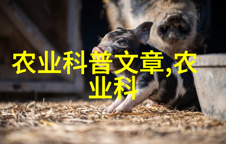 旋耕机的第二生命1米2的二手奇迹能否再现辉煌