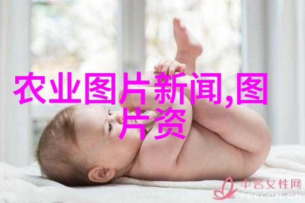 苗木种类分为果树观叶植物和经济林木多样化的园艺世界