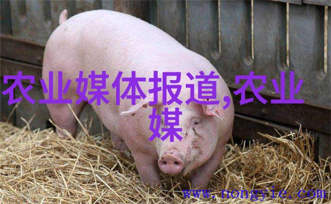 古典诗词中的茗字背后的香草情怀