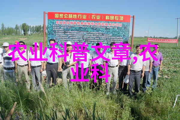 一场春天里的采摘盛宴在成都是如何举办