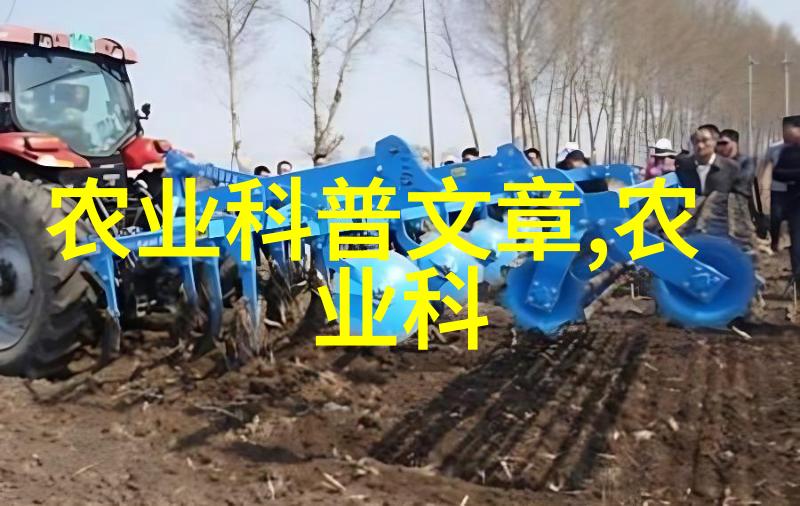 全球珍稀水果之冠品味非凡的甜蜜盛宴