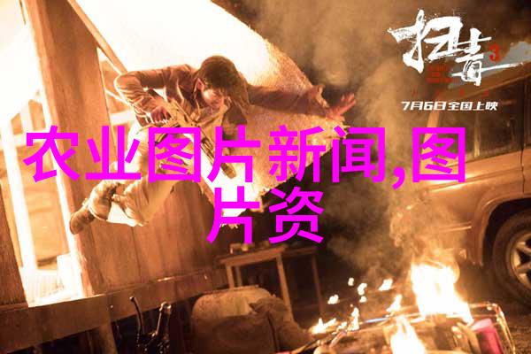 意蜂不断子治螨方法-精准捕捉揭秘意蜂如何不断生出能治螨的子孙