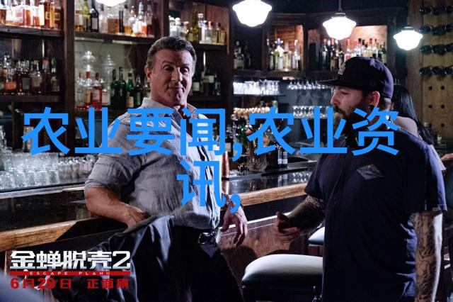 环境可持续性在现代中国农业中的应用研究