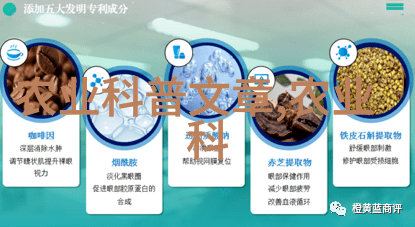 两分之一的重量计量法则及其在现代生活中的应用