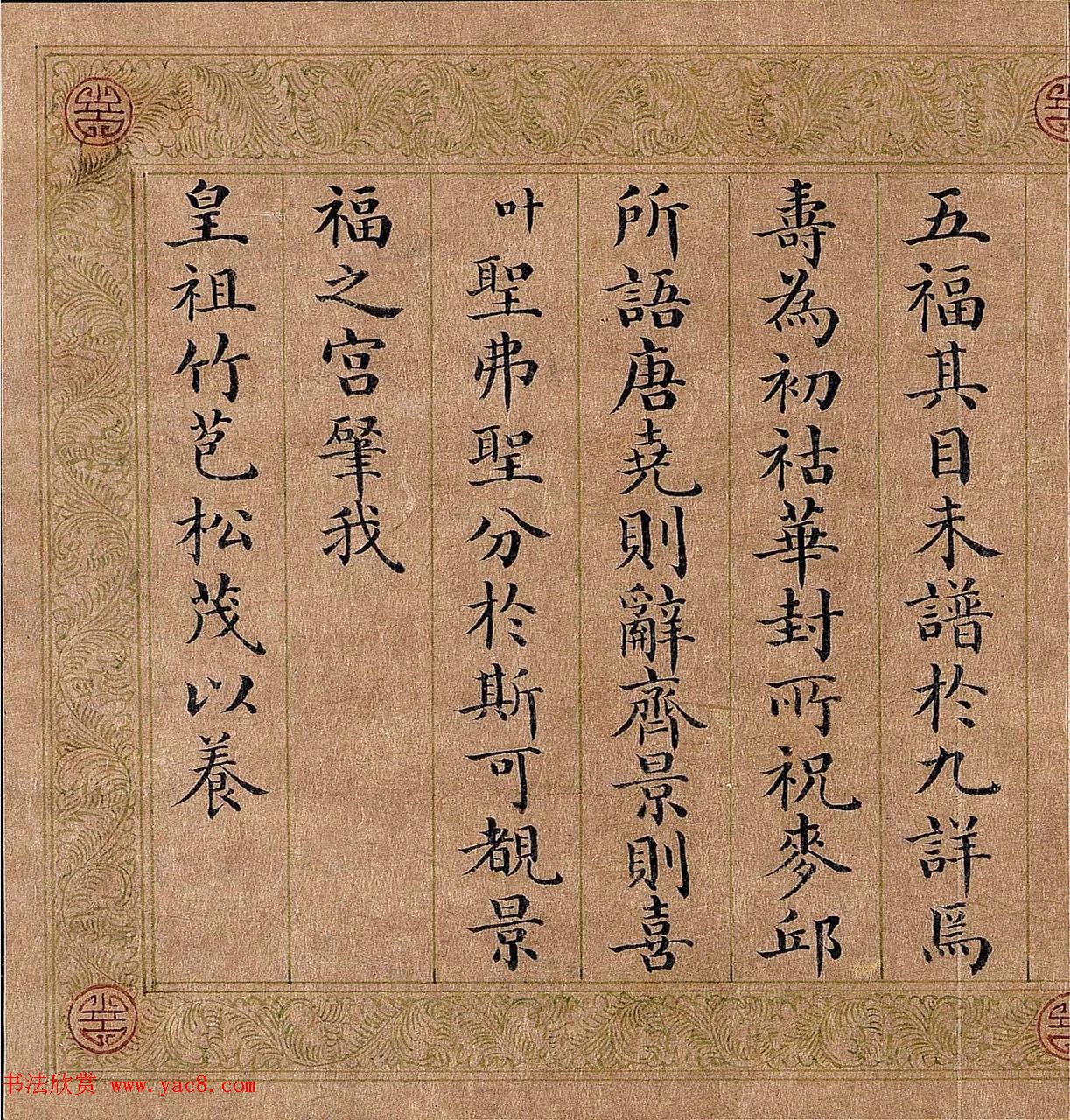 苗种植回收合作模式绿色循环经济的实践者