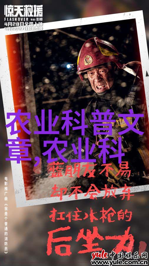 苗圃花卉基地我在这里种了个花园你要不要来看看