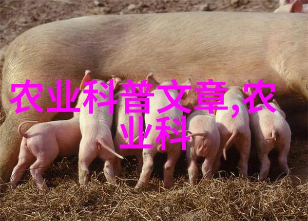 民法典内容融入乡村振兴多地政策细节公布 villagers benefit from integra