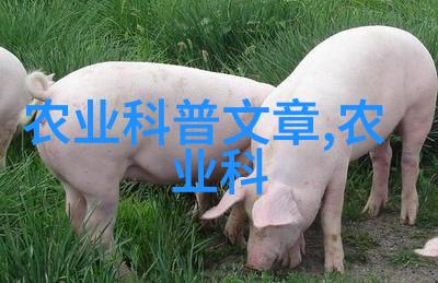 现在养殖业什么前景最好我眼中的养殖新贵有机畜牧业的崛起