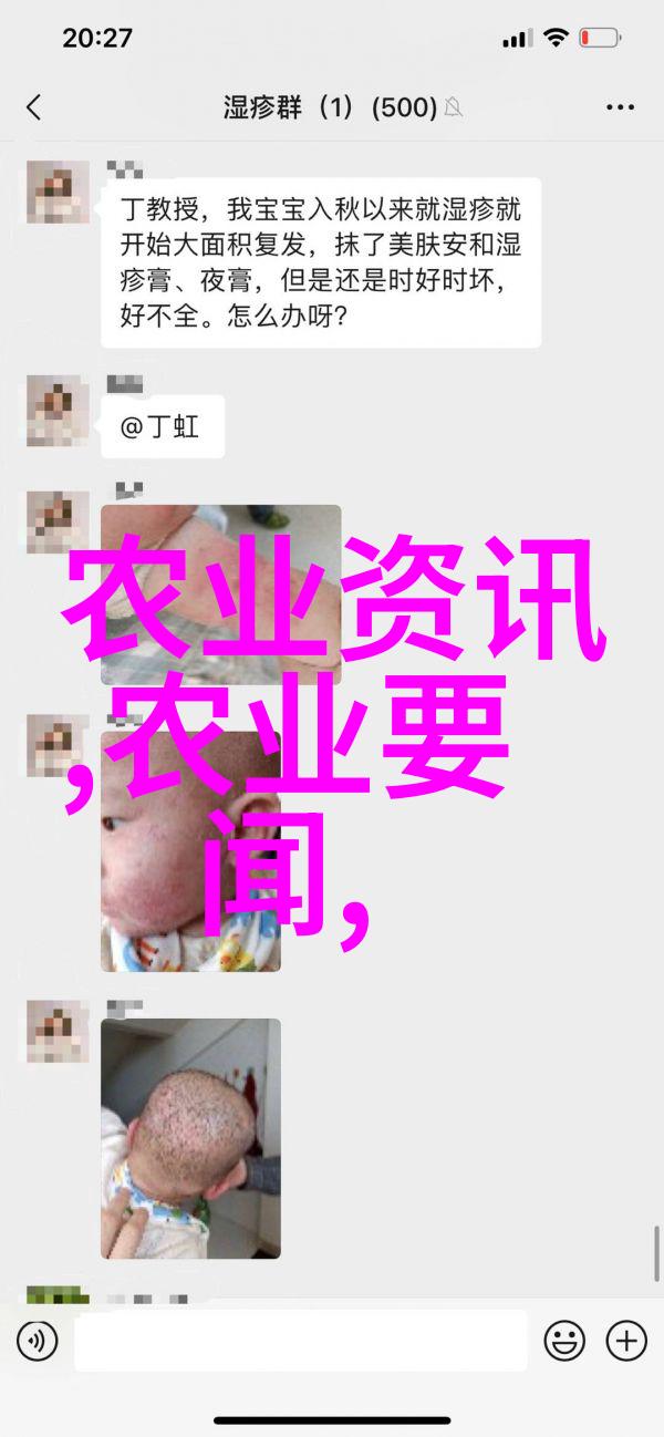人工金线莲我这儿的新鲜人工金线莲一斤只卖五十大洋你要不要试试