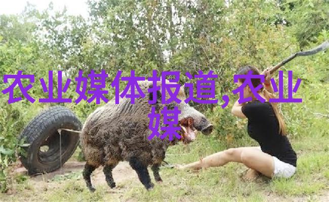 新手如何从零开始进行室内或室外的小规模蜈蚓实验农场建设