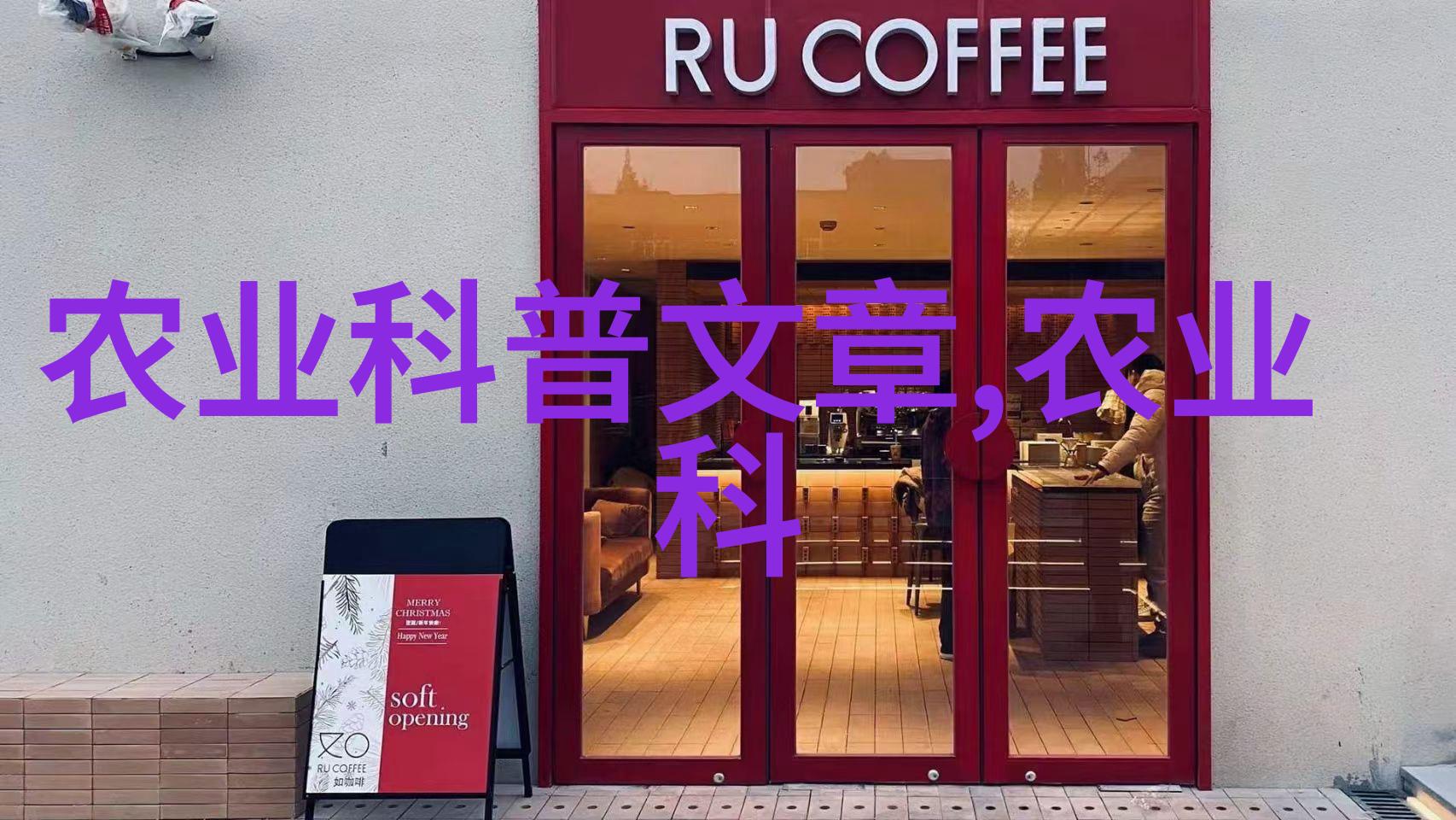 一年生药材快长又不累的草药圈小达人