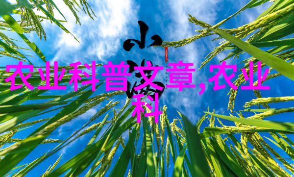高效作物栽培免耕播种机的应用与优势