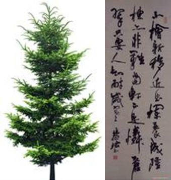 现代农业科技革命智能种植新纪元