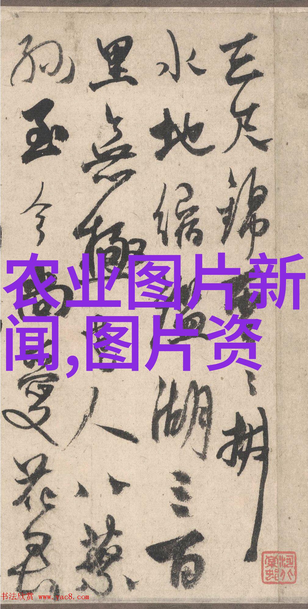 丰收的画卷水果蔬菜种子的美丽图像