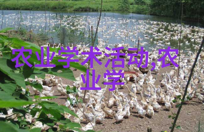 花园不见尘无土栽培技术革新绿色生活