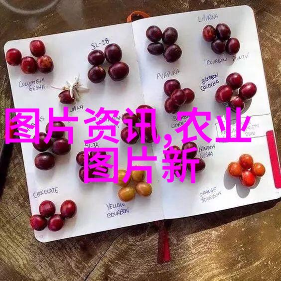 现代医药市场的热点哪些中药材最具赚钱潜力
