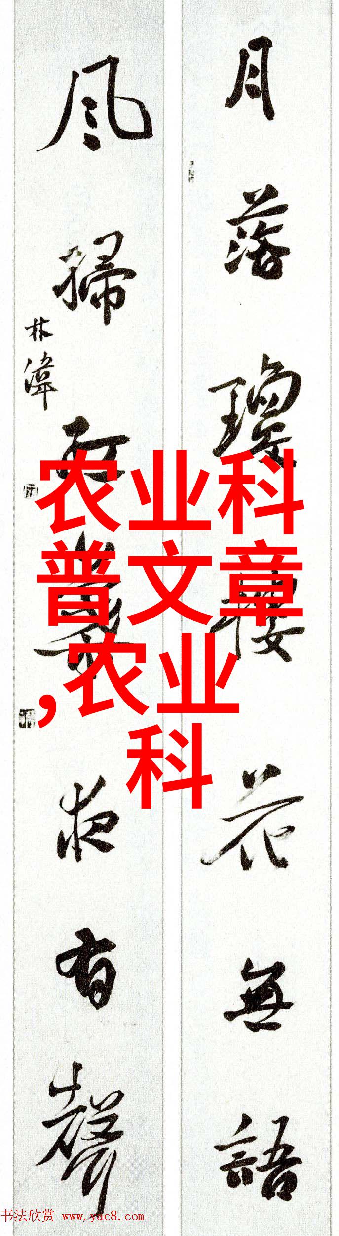 五行天我眼中的星辰大海