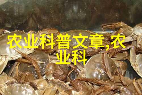 农村前景最好的养殖业有机畜牧的崛起与可持续发展