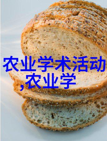 领航未来中国最先进履带旋耕机革新农田工作效率