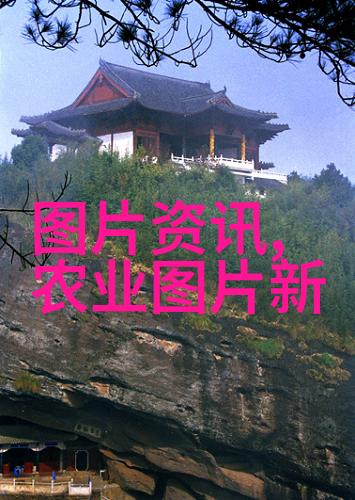 如何通过管理手段提高肉鸽生长速度与质量