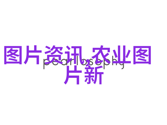园艺知识-15公分五针松价格全解析家居装饰的经济选择