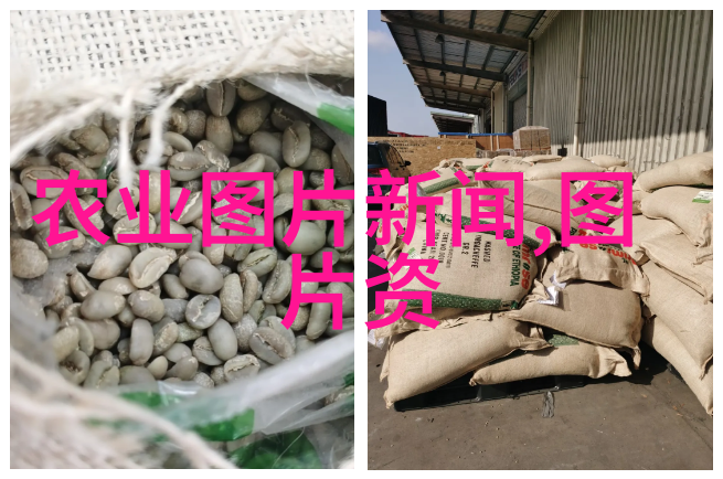 茶艺中的技巧与哲学理解一杯茶的深意