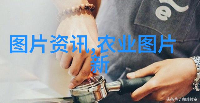 政府法规数据库政策百科的核心功能与应用场景