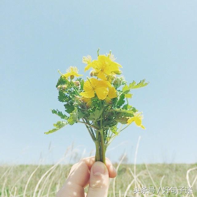中国畜牧业我眼中的牛马之乡变革故事