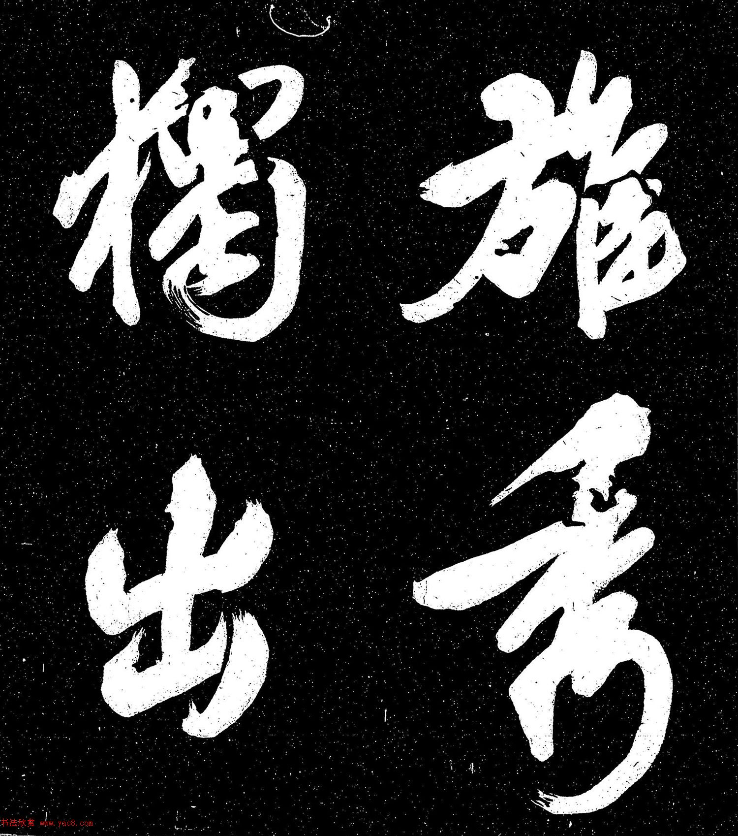 蜂巢健康管理提升蜂群生态促进蜂王产卵效率