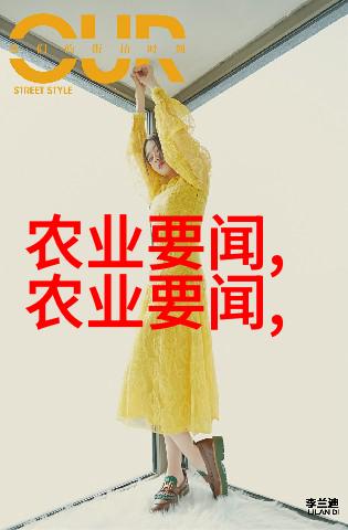养蜜蜂的工具有哪些我来告诉你超实用养蜜蜂必备装备全解析