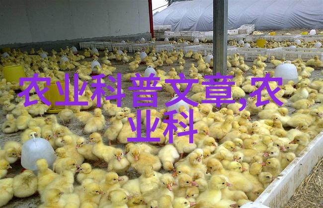 如何确保我的简单易种水果免受病虫害侵扰