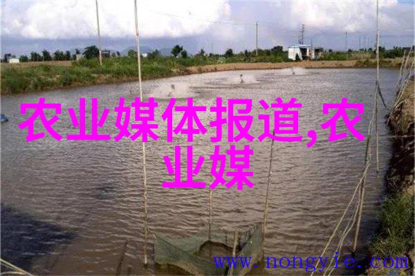 探索Sesexi的魅力与奥秘深度解读这一独特主题