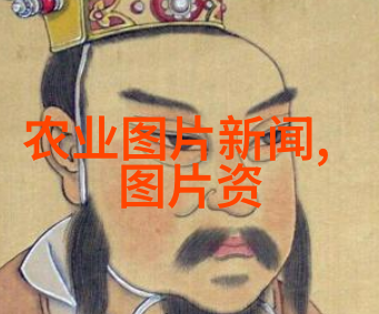现代果树种植业的经济效益分析选择高收益现种树种策略