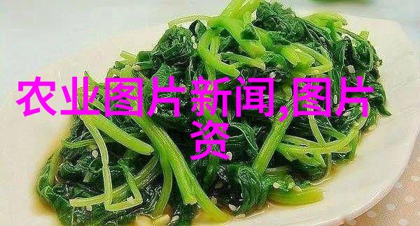 如同小型加工厂精心调配秘制香料青绿饲料在发酵中悄然变革为猪群带来三种滋味无限的喂养方法