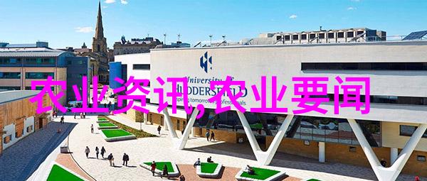 阳台上的财神花园揭秘那些能让你家境富裕的开心花儿
