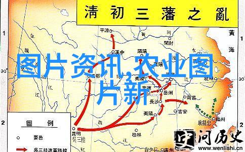 蜂箱管理与谨慎置放让蜜蜂安心筑巢不逃离