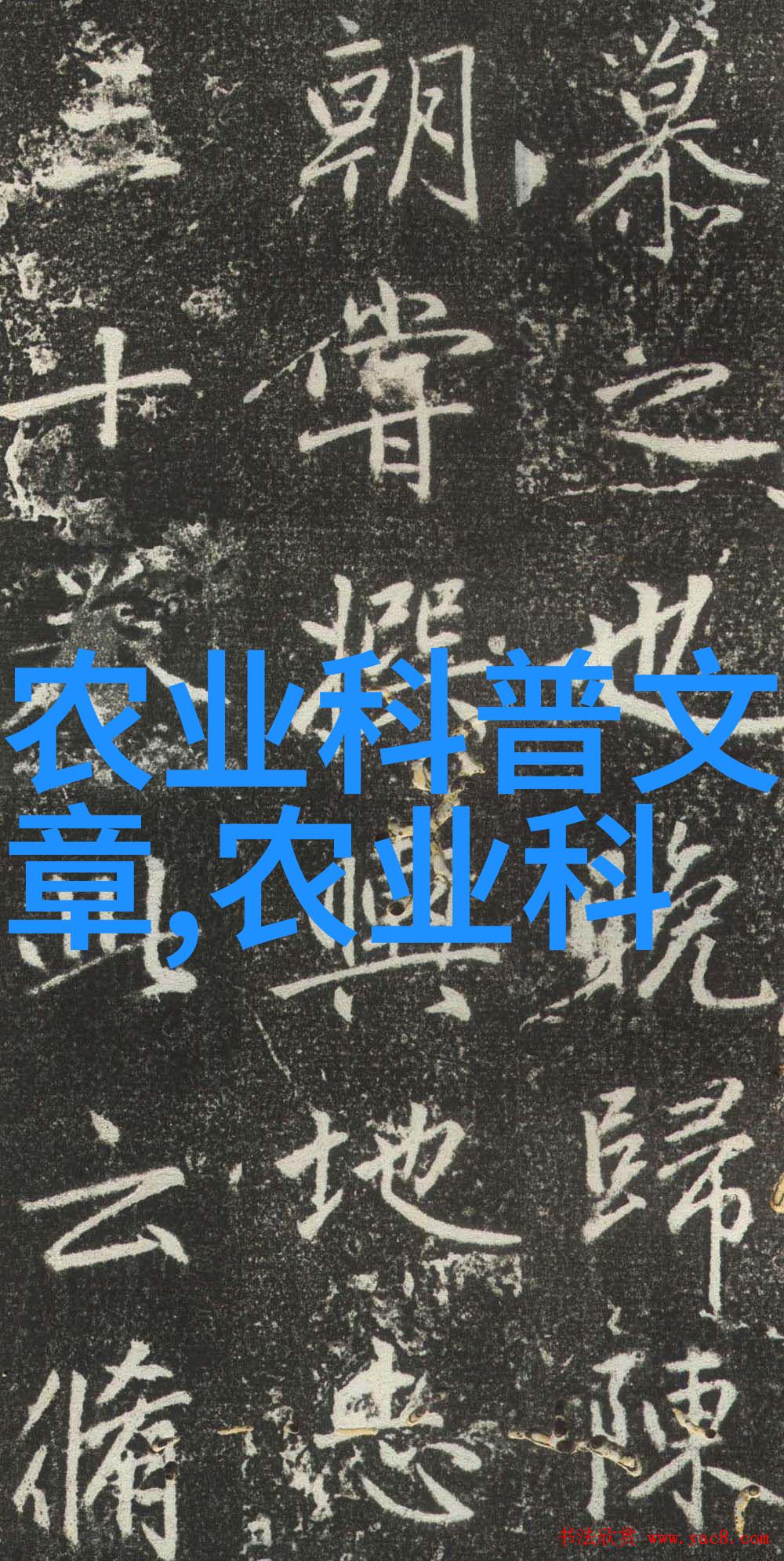 翅膀上的园艺师探秘蜜蜂的养蜂智慧