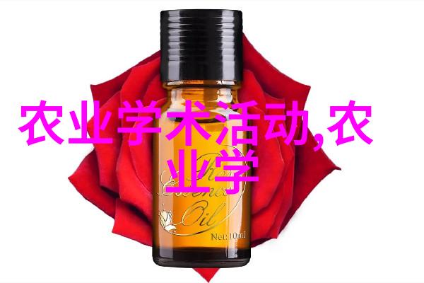 红尘一沙雕穿梭于繁华与孤寂之间的艺术家