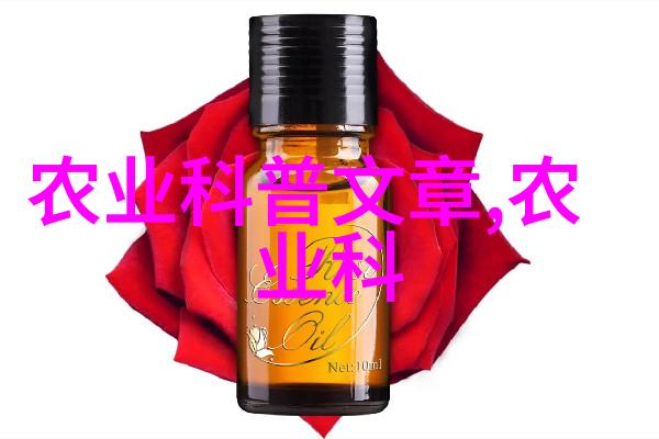 粮油作物种植-丰收的基石深度探究粮油作物种植的艺术与科学