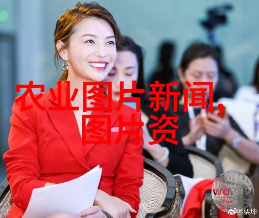 链条上的力量揭秘皮带机的运作原理与应用广度