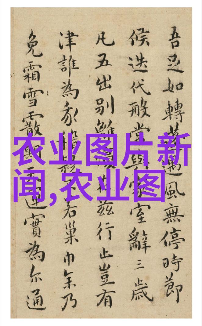 确保工地安全法律法规的严格执行与培训重要性