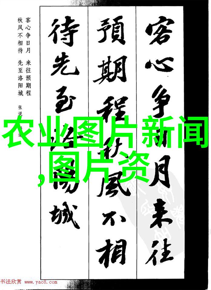 生物发酵养猪法