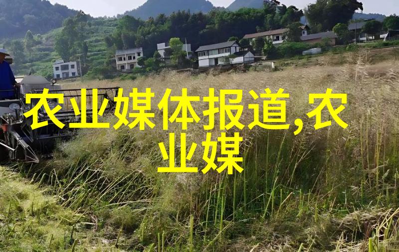温室蔬菜种植入门在3万元预算内开启自给生活