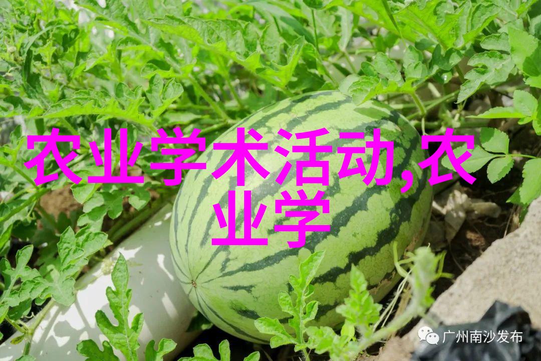 探秘农村野生中草药一览60种自然疗法