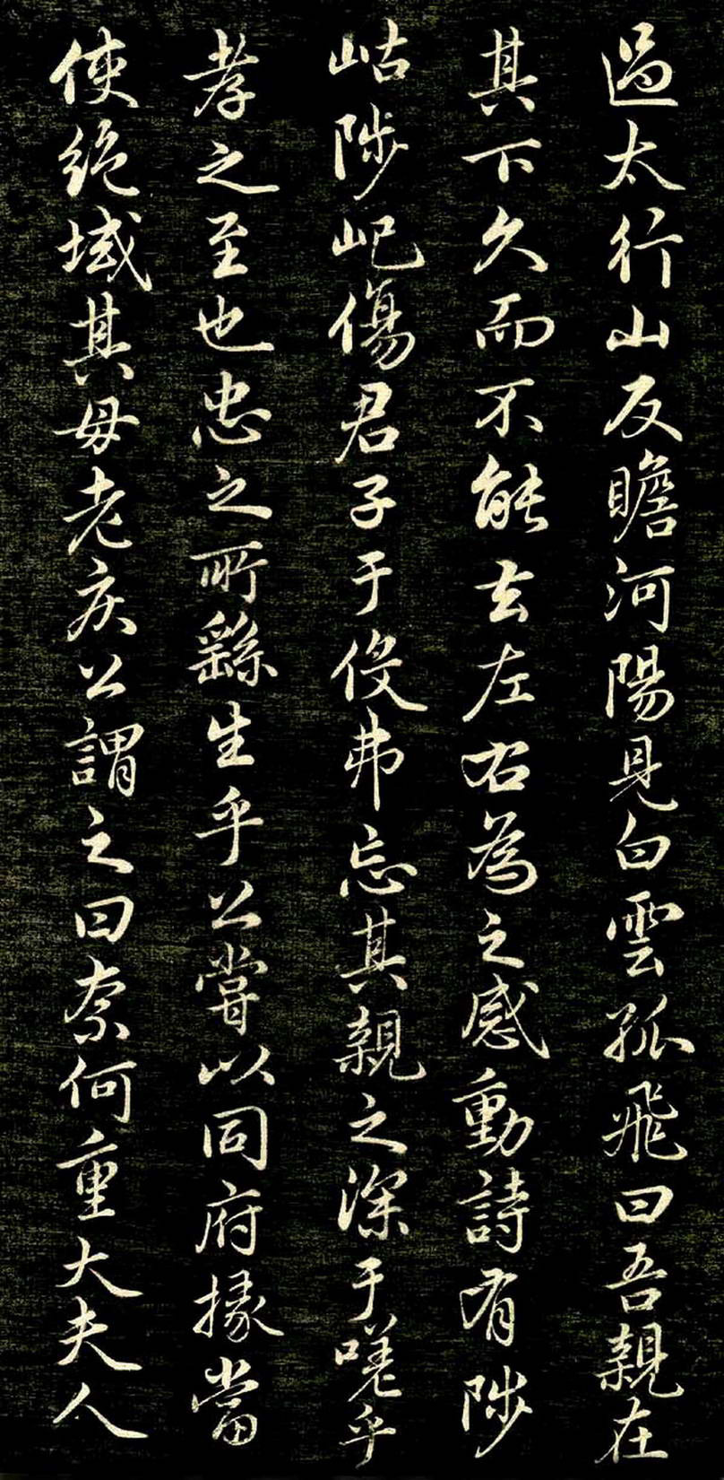 娱乐圈-女主播朴妮唛种子直播间的新宠儿与种草之星