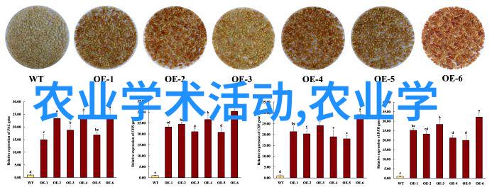 有关茶的资料我的家乡的那壶好茶