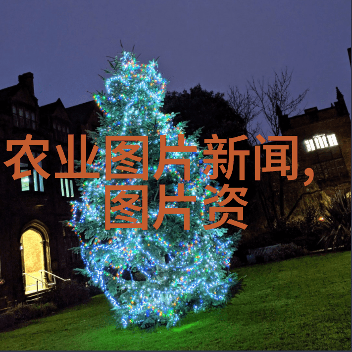 家园之恋静心养生谈谈那些可以减压营造宁静氛围的户外植物