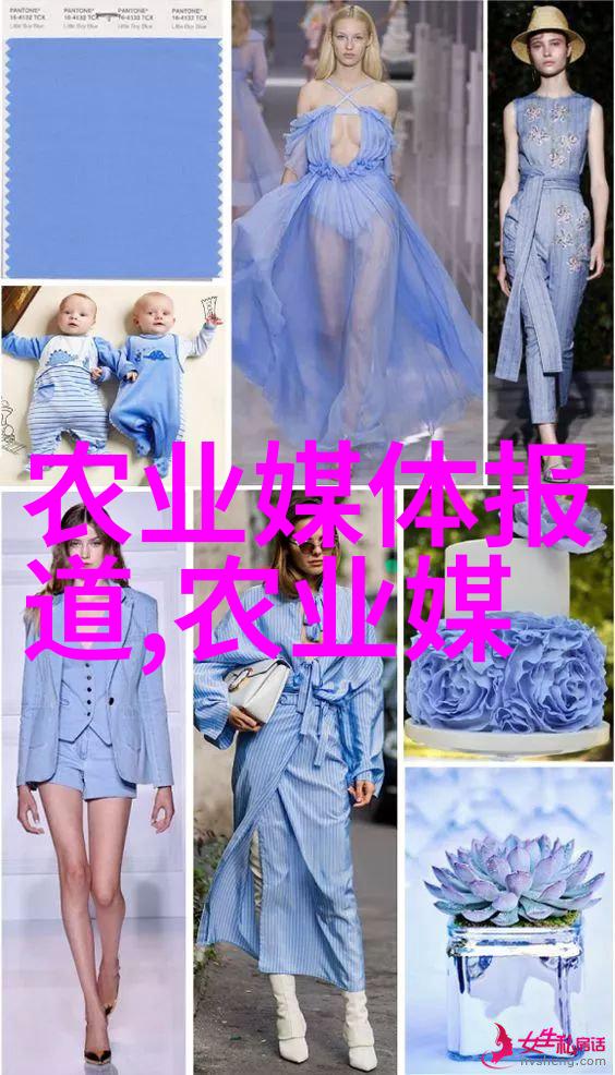 2020年最赚钱的农村养殖业高效蛋鸡养殖