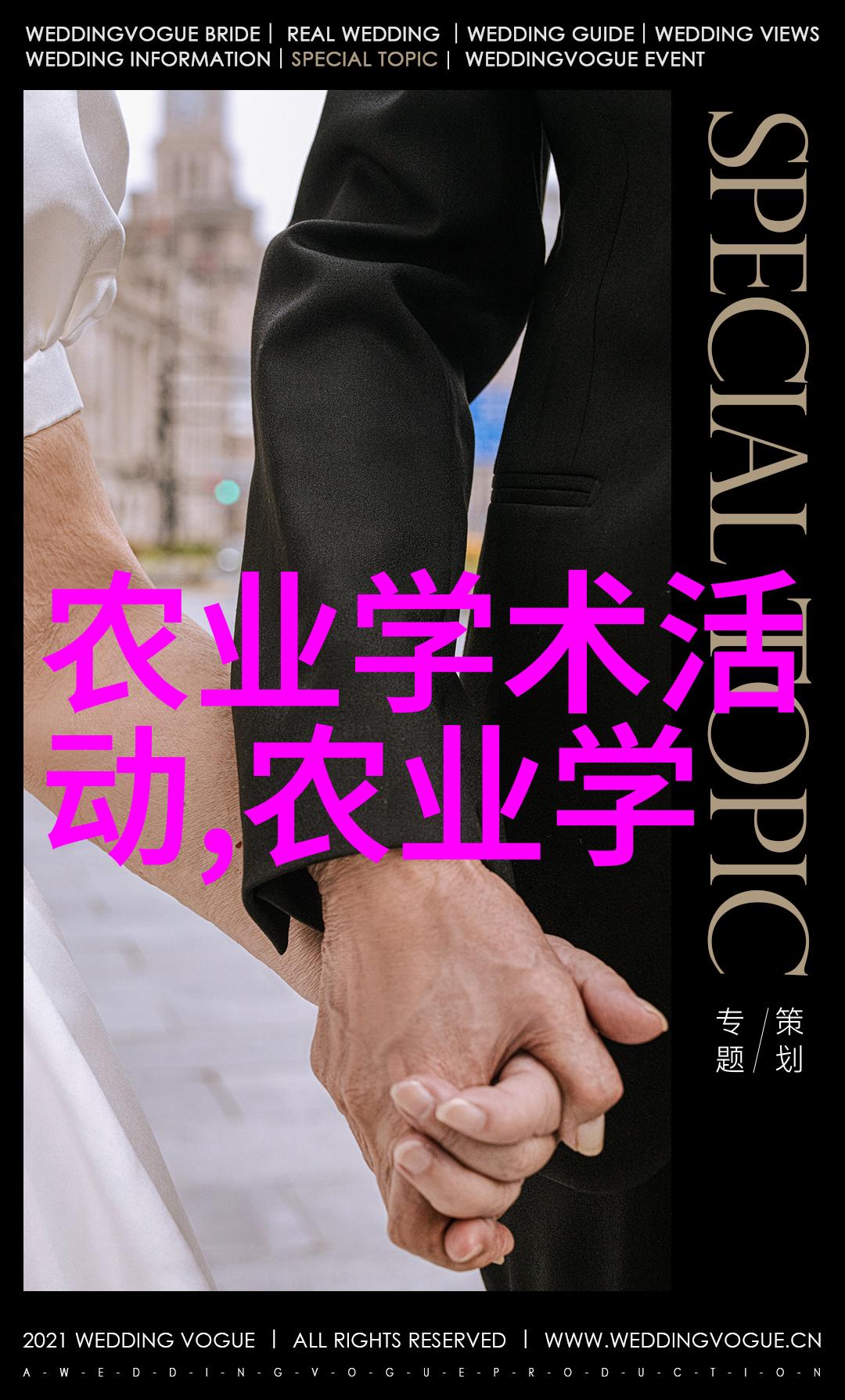环保型稻谷烘干机绿色技术革新