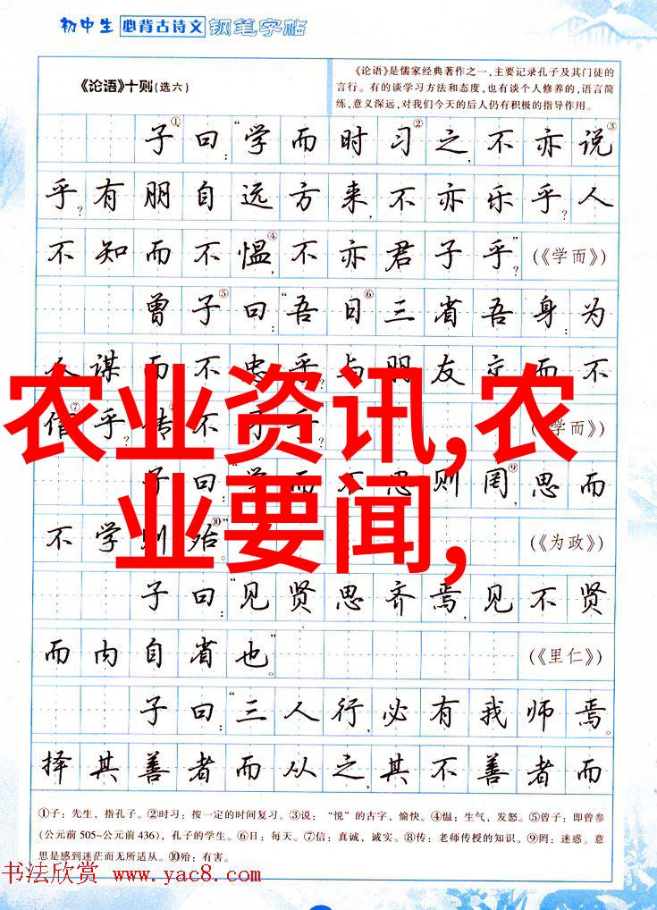 养羊政策补贴2022年最新羊牧业扶持措施